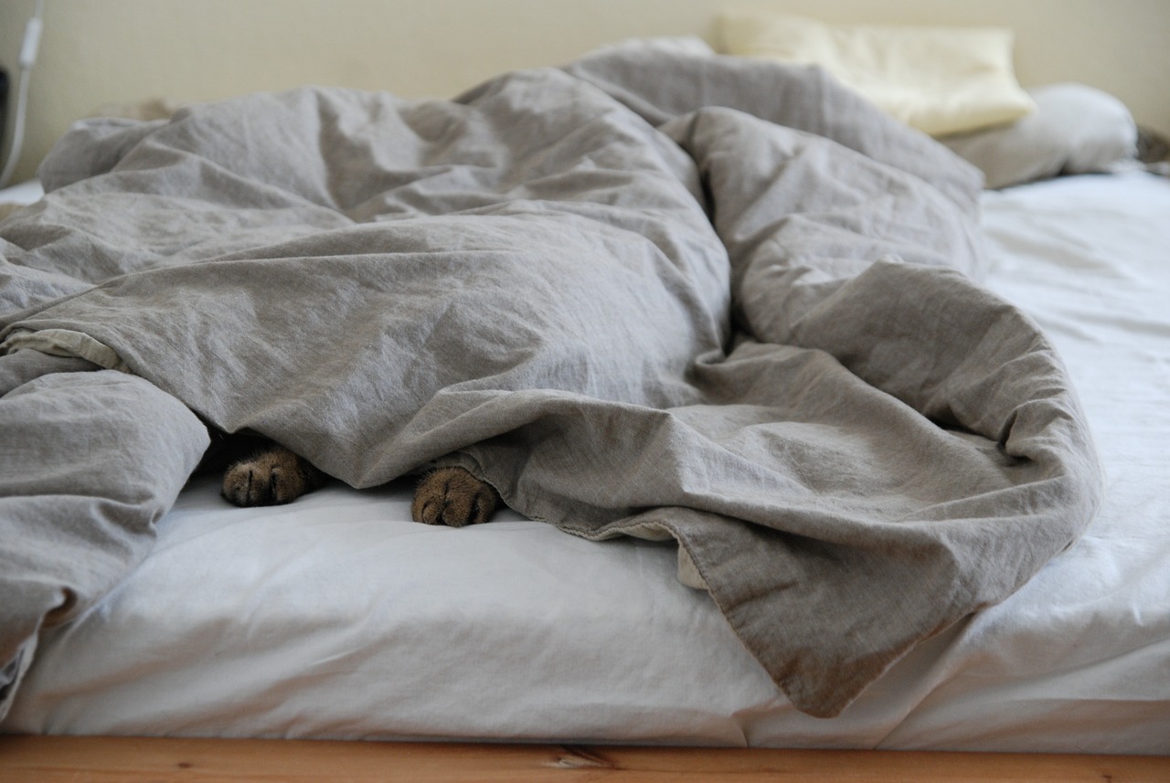 Can You Put A Mattress on the Floor
